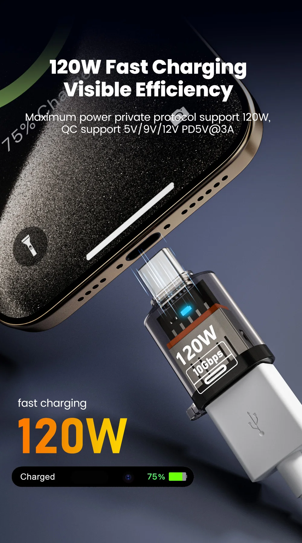 120W Type-C OTG Adapter